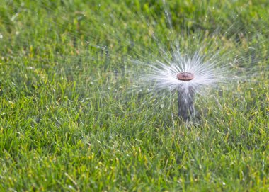 çim sulama yağmurlama