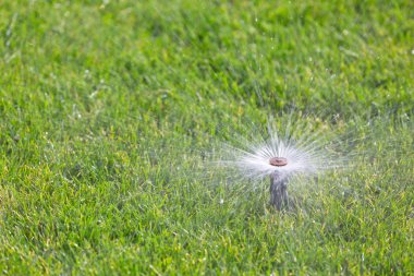 çim sulama yağmurlama