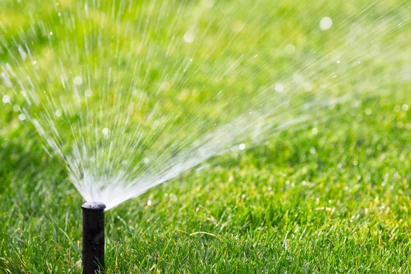 Sprinkler drenken gras — Stockfoto