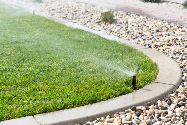 Sprinkler watering grass