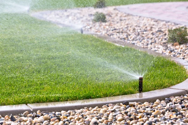 Sprinkler vattna gräset — Stockfoto