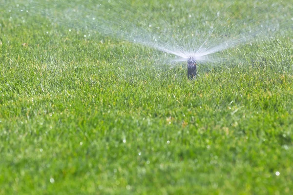 Sprinkler watering grass — Stock Photo, Image