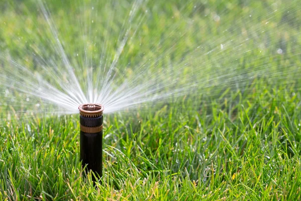 Sprinkler vattna gräset — Stockfoto