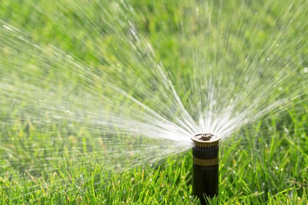 Automatic sprinkler — Stock Photo, Image