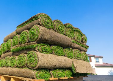 Pile of sod clipart