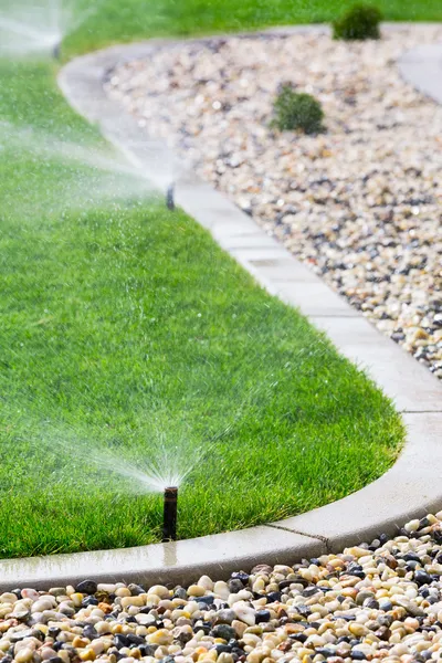 Sprinkler vattna gräset — Stockfoto