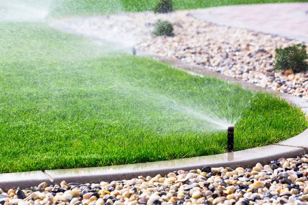 Sprinklers watering grass — Stock Photo, Image