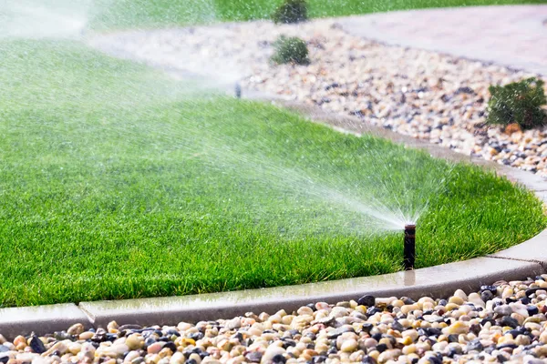 Sprinklers drenken gras Rechtenvrije Stockafbeeldingen