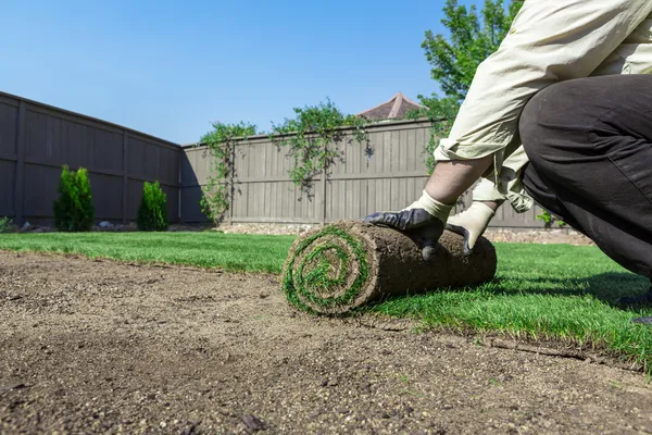 New lawn — Stock Photo, Image