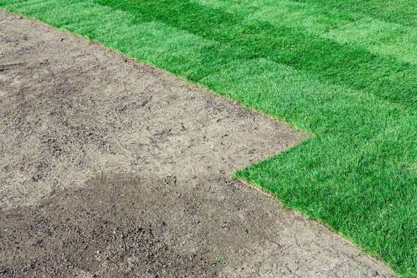 Новая лужайка
