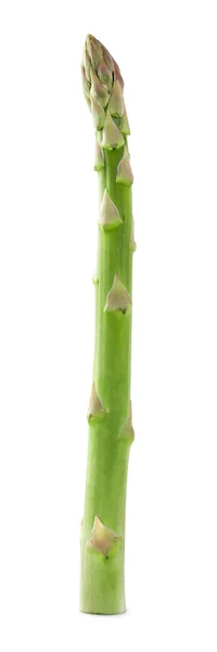 Asperges — Stockfoto