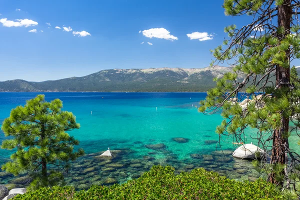 Λίμνη tahoe — Φωτογραφία Αρχείου