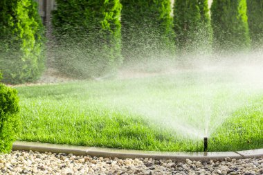 Çimenleri sulayan fıskiyeler, bahçede yeşil çimenler