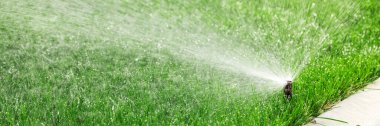 Çimenleri sulayan fıskiyeler, bahçede yeşil çimenler