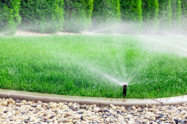 Çimenleri sulayan fıskiyeler, bahçede yeşil çimenler