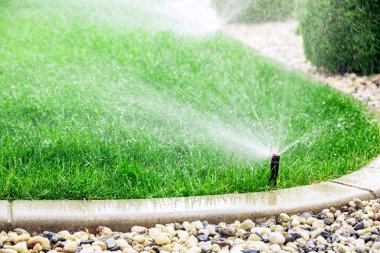 Çimenleri sulayan fıskiyeler, bahçede yeşil çimenler