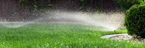 Sproeiers Besproeiing Gras Groen Gazon Tuin — Stockfoto