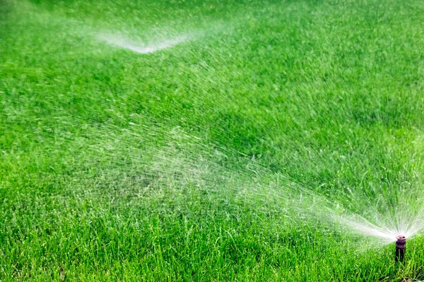 Sprinklers Watering Grass Green Lawn Garden — Stock Photo, Image