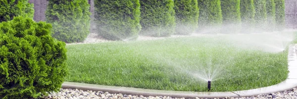 Rasensprenger Gießen Gras Grüner Rasen Garten — Stockfoto