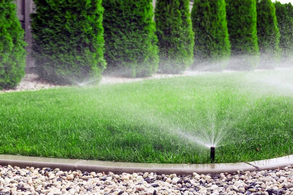 Irrigatori Irrigazione Erba Prato Verde Giardino — Foto Stock