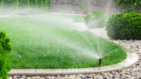 Çimenleri sulayan fıskiyeler, bahçede yeşil çimenler