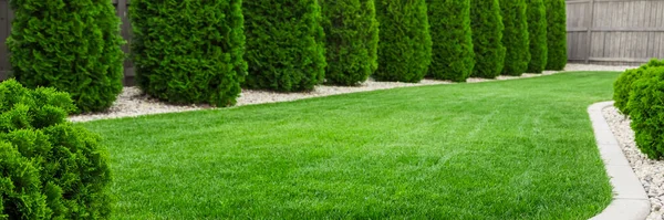 Tuin Met Natuurlijk Groen Gras Vers Gazon — Stockfoto