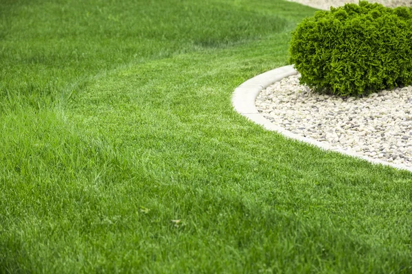 Hinterhof Mit Naturgrünem Gras Frischem Rasen — Stockfoto