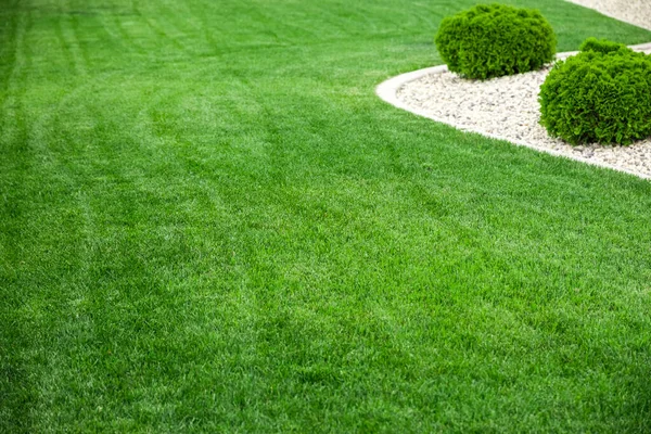 Tuin Met Natuurlijk Groen Gras Vers Gazon — Stockfoto