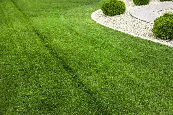 Bakgård Med Naturligt Grönt Gräs Färsk Gräsmatta — Stockfoto