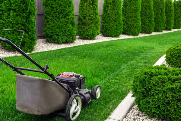 Gräsklippare Klipper Grönt Gräs Trädgården Klipper Gräsmattan — Stockfoto