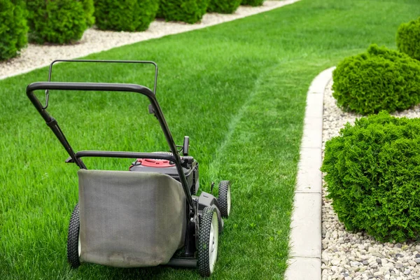 Gräsklippare Klipper Grönt Gräs Trädgården Klipper Gräsmattan — Stockfoto