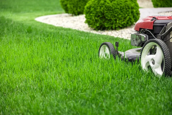 Lawn Mower Cutting Green Grass Backyard Mowing Lawn — Stock Photo, Image