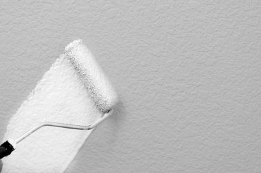 Boya silindirli boyama duvarı, beyaz boyalı yenileme odası.