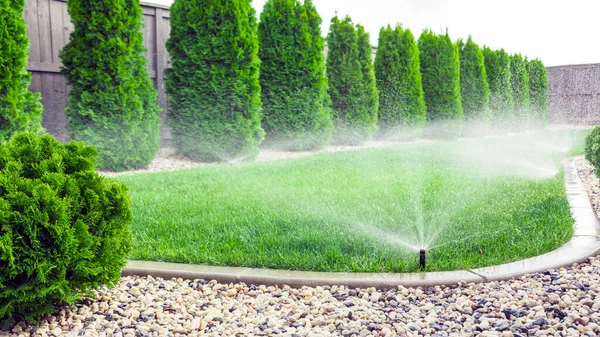 Sprinklers Watering Grass Green Lawn Garden — Stock Photo, Image