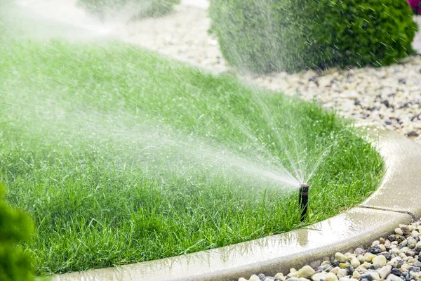 Sprinklers Watering Grass Green Lawn Garden — Stock Photo, Image