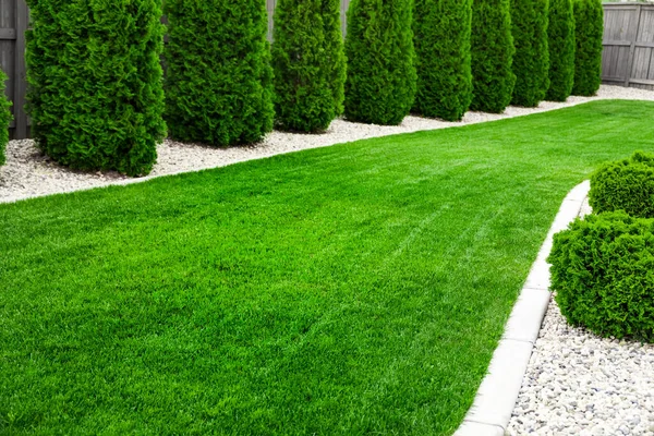 緑の芝生の裏庭 新鮮な芝生 — ストック写真