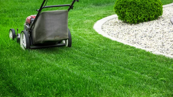 마당에서 잔디를 잔디를 잔디깎는 — 스톡 사진