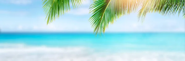Güneşli Tropik Karayip Plajı Palmiye Ağaçları Turkuaz Karayip Adaları Tatili — Stok fotoğraf