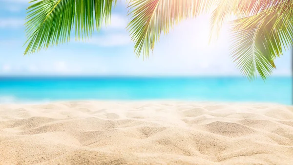 Güneşli Tropik Karayip Plajı Palmiye Ağaçları Turkuaz Karayip Adaları Tatili — Stok fotoğraf