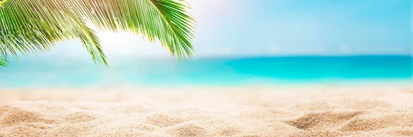 Sunny Tropical Caribbean Beach Palm Trees Turquoise Water Caribbean Island — Photo