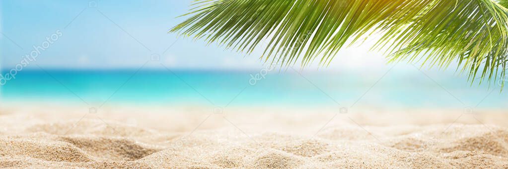  Sunny tropical Caribbean beach with palm trees and turquoise water, Caribbean island vacation, hot summer day