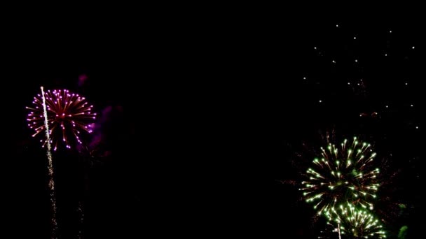 Los Fuegos Artificiales Reales Muestran Cielo Oscuro Celebración Año Nuevo — Vídeo de stock