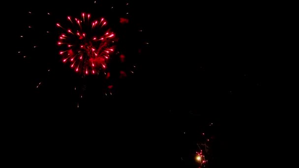 Igazi Tűzijáték Kijelző Sötét Égen Újévi Ünneplés — Stock videók