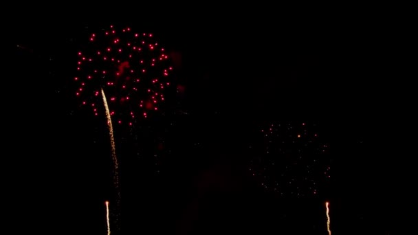 Настоящий Фейерверк Темном Небе Празднование Нового Года — стоковое видео