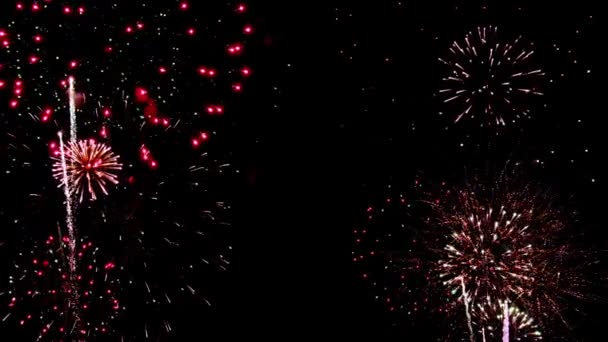 Igazi Tűzijáték Kijelző Sötét Égen Újévi Ünneplés — Stock videók