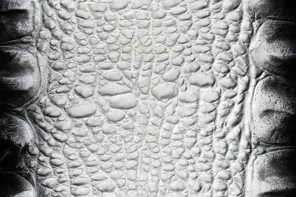 Textura de piel de cocodrilo blanco y negro —  Fotos de Stock