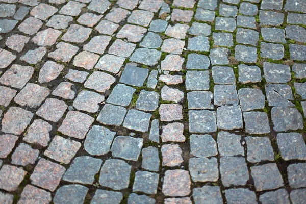 Stone pavers, — Stock Photo, Image