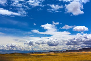 Sarı bozkır üzerinde mavi gökyüzü