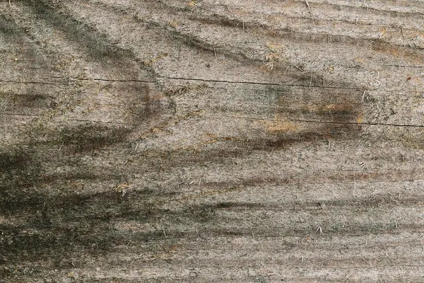 Old wood texture — Stock Photo, Image