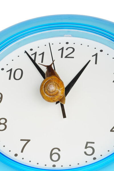 Grape snail climbing on a clock